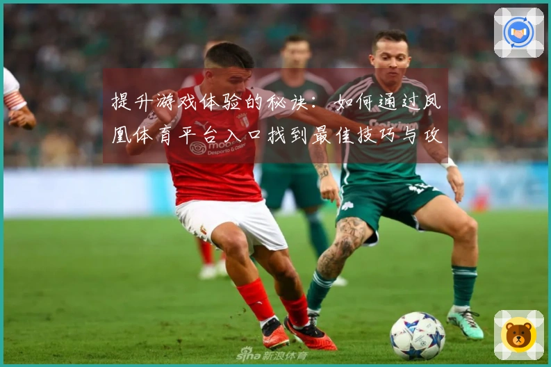 提升游戏体验的秘诀：如何通过凤凰体育平台入口找到最佳技巧与攻略
